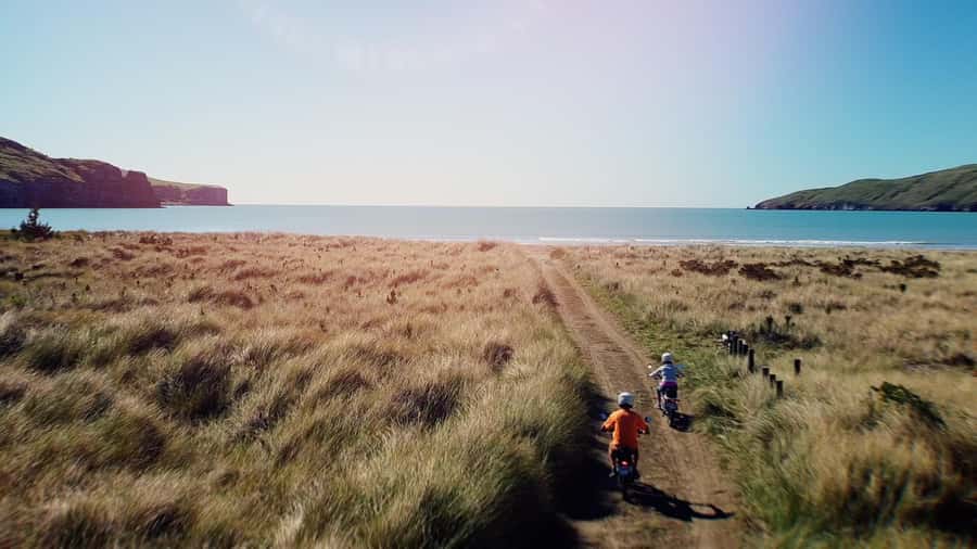Akaroa: Lonely Beach Trail by E-Scooter. selfguided day out - Price and value, what $80 per person buys you