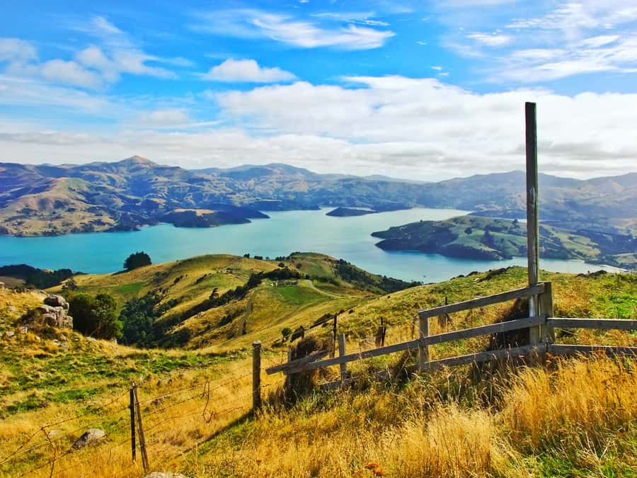 Akaroa: Pohatu Penguins Scenic Nature 2-Hour or 4-Hour Tour - What changes on the 4-hour option at Akaroa Heads