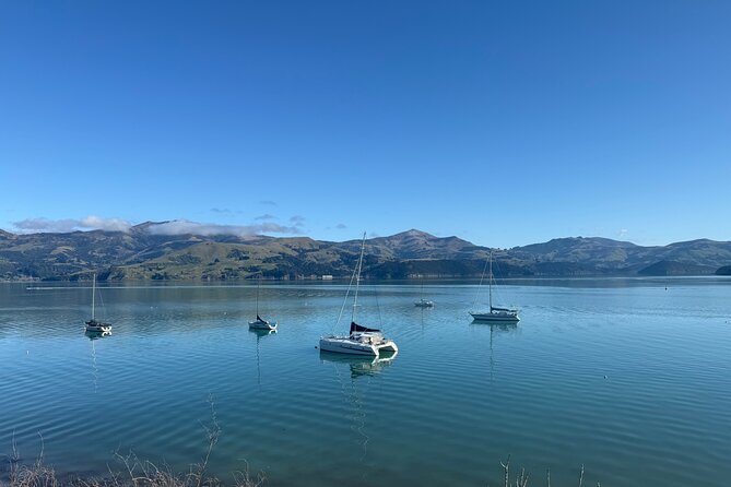 Akaroa Private Day Tour from Christchurch - Price and Value: What $154.52 Per Person Really Covers
