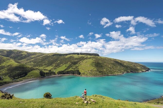 Akaroa Private Day Tour from Christchurch - Little River: A Small Village Stop With Real Local Flavor