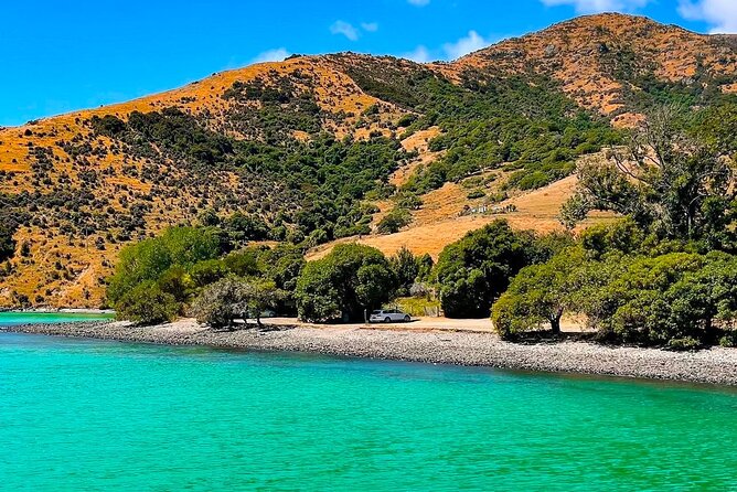 Akaroa Private Day Trip From Christchurch - Meeting point, pickup, and the comfort perks that make the day easier