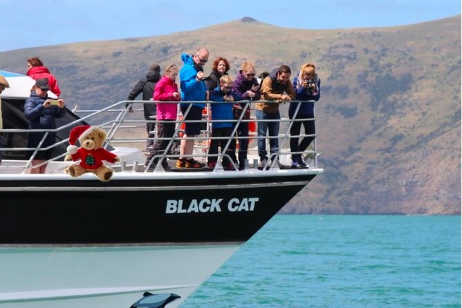Akaroa Private Day Trip From Christchurch - Cheese tasting and the optional lunch upgrade: easy, flexible food planning