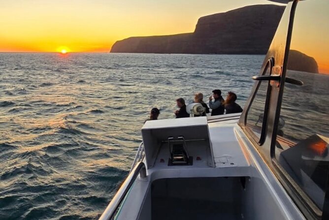 Akaroa Private Day Trip From Christchurch - Price and value check: what you get for $741.59 per group