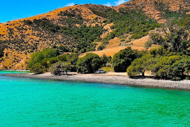 Akaroa Private Group Day Trip from Christchurch - Key things I’d pay attention to before you go