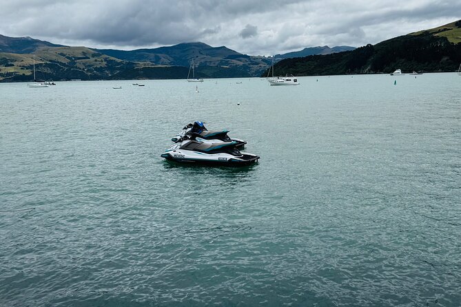 Akaroa Private Group Day Trip from Christchurch - Cheese tasting and animal time: how to make the day memorable