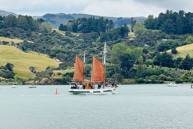 Akaroa Private Group Day Trip from Christchurch - Optional dolphin cruise: when to spend NZ$120 per person