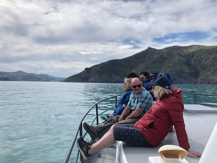 Akaroa: Scenic Coastline Wildlife Cruise - Price and Value: What $65 Buys You in Akaroa