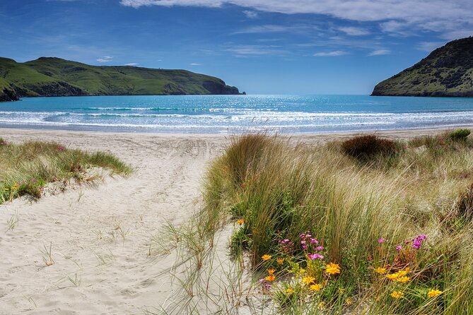 Akaroa Self Guided Electric Scooter Tour - Why Akaroa feels made for an electric scooter