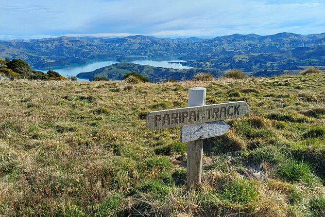 Akaroa Self Guided Electric Scooter Tour - Stop 2: Takamatua Valley Vineyard tasting with Alan (30 minutes)