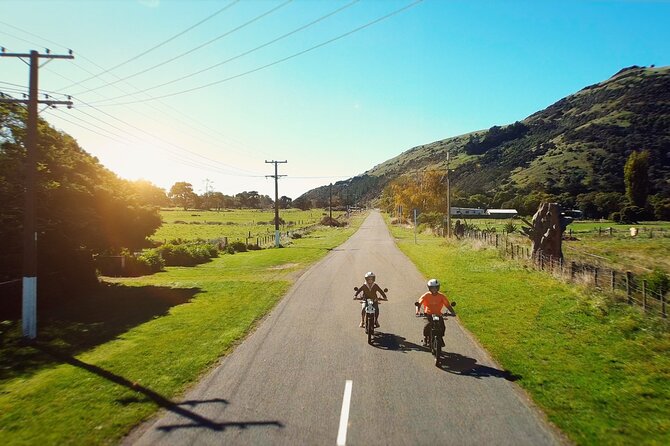 Akaroa Self Guided Electric Scooter Tour - Your picnic setup: where the meal becomes part of the memory