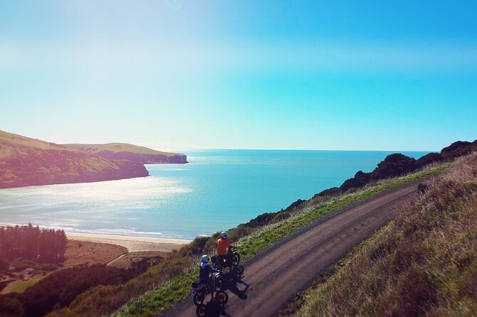 Akaroa Self Guided Electric Scooter Tour - Ride rules that affect comfort: licence, weight, and weather