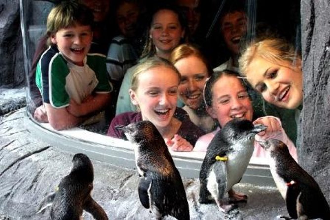 Akaroa Shore Excursion: Banks Peninsula, Christchurch City Tour and the International Antarctic Centre - The Hagglund Ride That Feels Like Antarctica Conditions