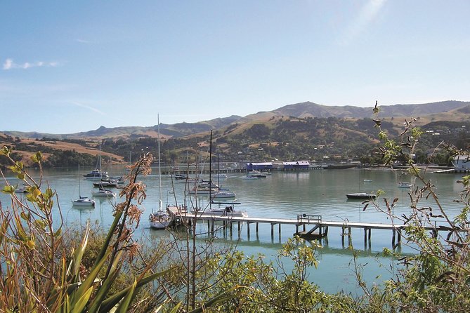 Akaroa Shore Excursion: Banks Peninsula, Christchurch City Tour and the International Antarctic Centre - Quick Hits in Christchurch Botanic Gardens, Museum, and Earthquake Rebuild