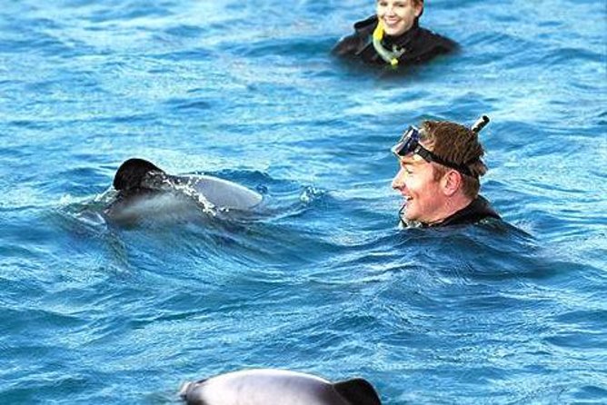 Akaroa Swim with Dolphins Tour from Christchurch - From Christchurch to Akaroa: a day trip with real views