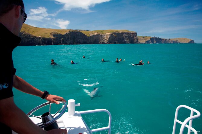 Akaroa Swim with Dolphins Tour from Christchurch - Gear on board: wetsuits and snorkel time