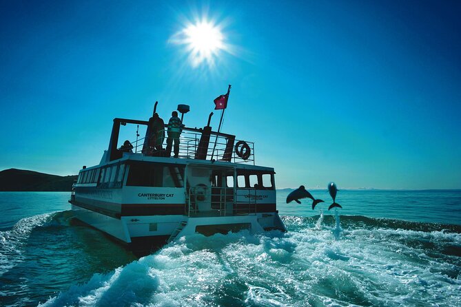 Akaroa Swim with Dolphins Tour from Christchurch - Akaroa free time: craft shops, French colonial charm, and lunch your way