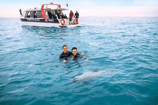 Akaroa Swim with Dolphins Tour from Christchurch - Price and value from Christchurch: what you’re really paying for