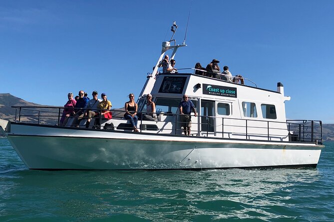 Akaroa Wildlife Cruise - Key highlights before you go