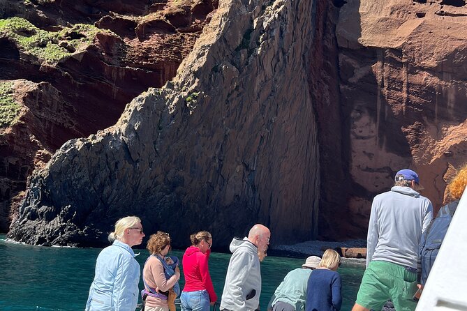 Akaroa Wildlife Cruise - The Tony and Mafi approach: close, but not chaotic