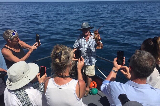 Akaroa Wildlife Cruise - Who should book this cruise, and who might want another option