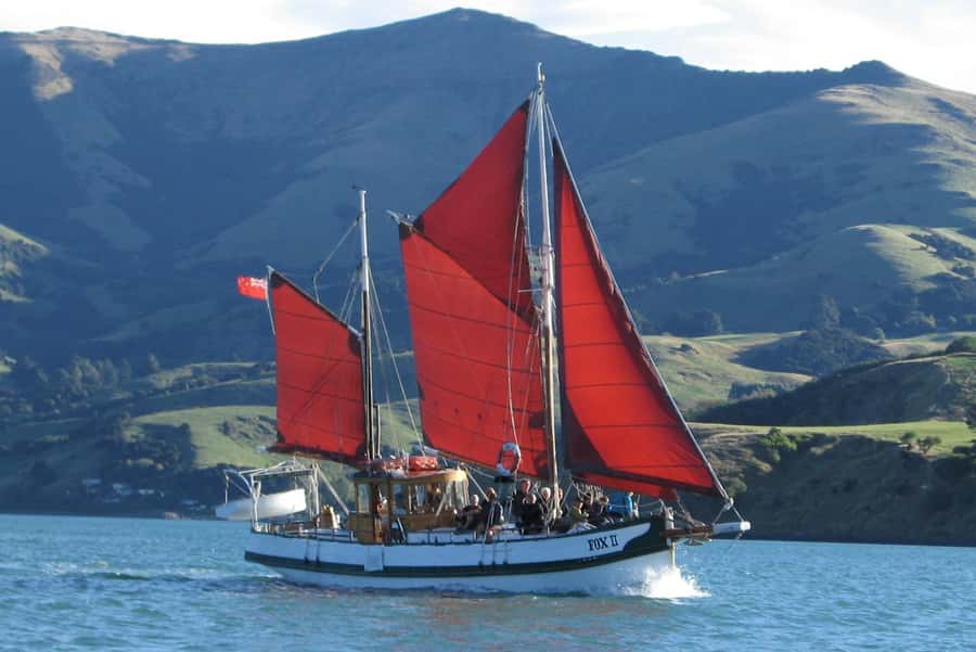 Akaroa: Wildlife Cruise with Dolphins and Penguins - Key things to know before you go