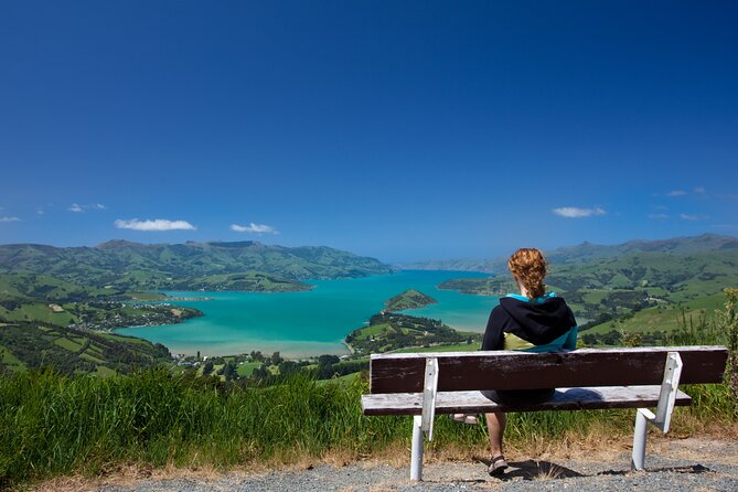 Akaroa with optional dolphin cruise (Small Group Tour) - Food and timing: lunch plus morning and afternoon tea that actually help