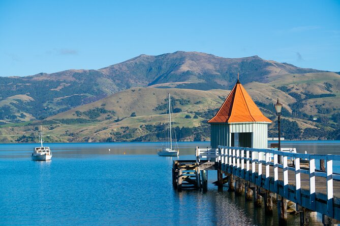 Akaroa with optional dolphin cruise (Small Group Tour) - Price and logistics for a $340 Akaroa day trip from Christchurch