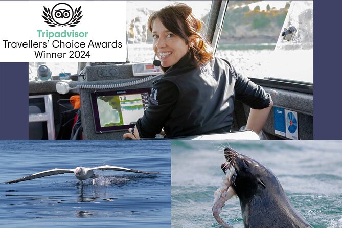 Albatross, seals, and sea birds-Wildlife Cruise - What you will likely see: albatrosses, fur seals, penguins, and sea birds
