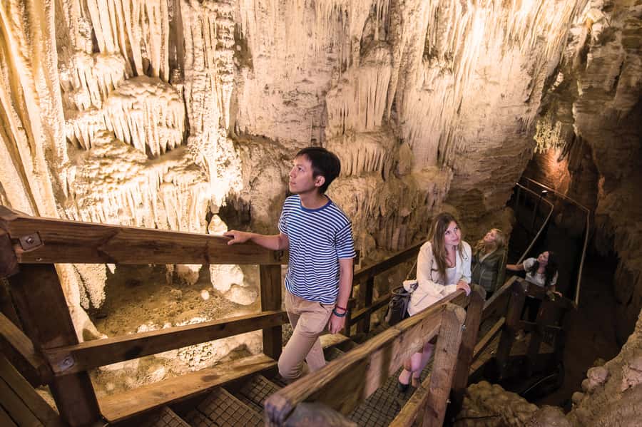 Aranui Cave 1-Hour Guided Tour - Key things to love about Aranui Cave 1-hour guided tour