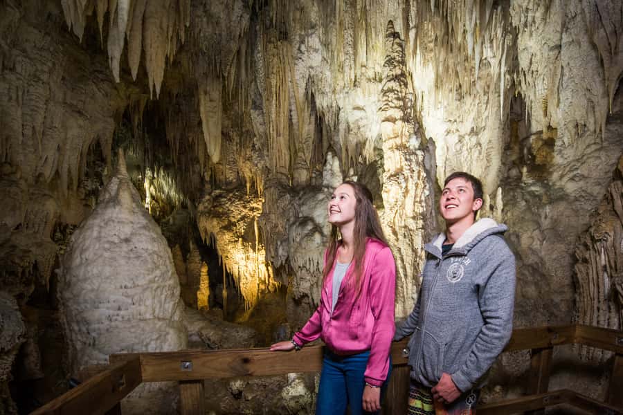 Aranui Cave 1-Hour Guided Tour - The Ruakuri bush walk: a short reset before the cave
