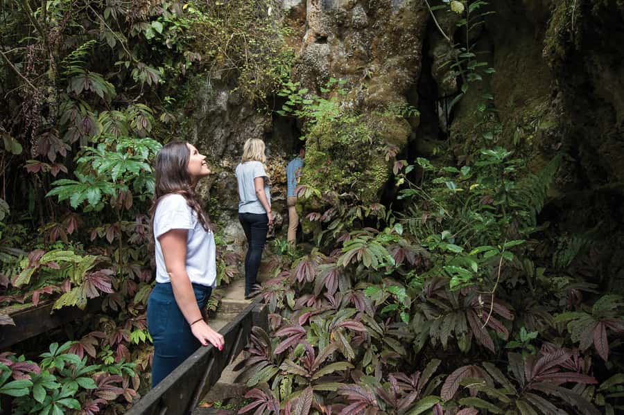 Aranui Cave 1-Hour Guided Tour - Group size and timing, how not to feel rushed