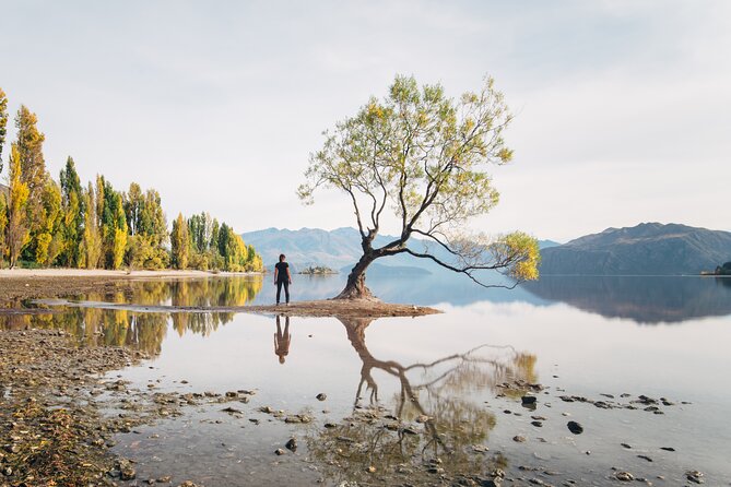 Arrowtown and Wanaka Highlights Tour from Queenstown - Key things I’d prioritize on this tour