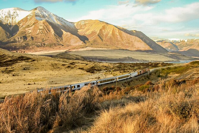 Arthur's Pass Discovery and TranzAlpine Train - Small Group Tour - Pace, group size, and why the guide really matters