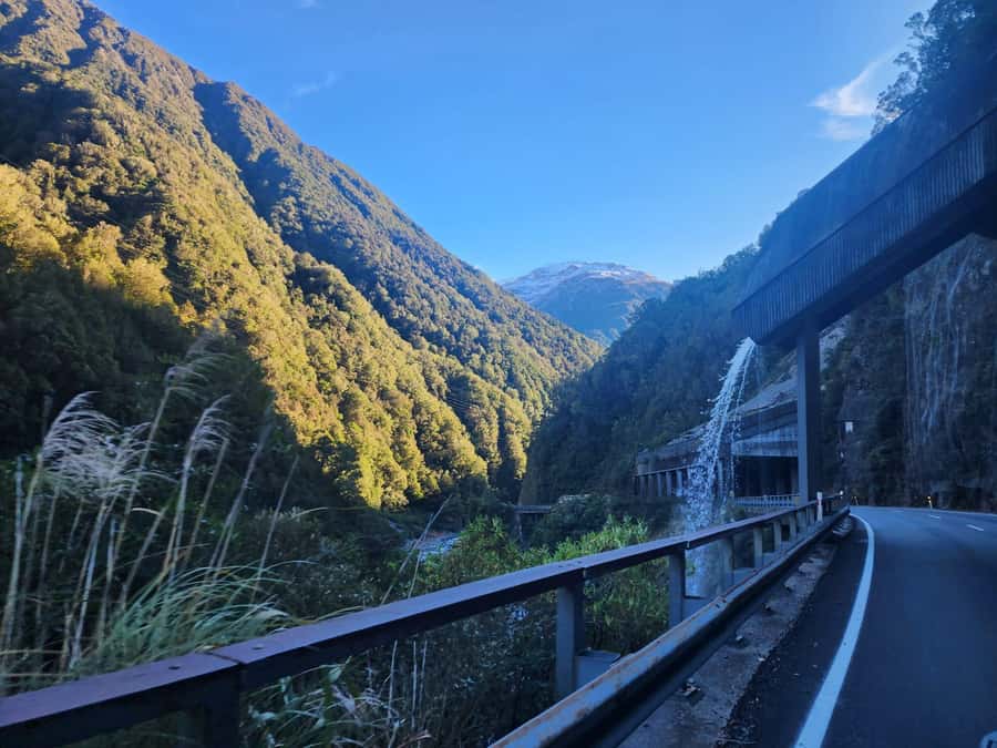 Arthur’s Pass Tour From Christchurch via CHC-GRZ TranzAlpine - Key Points That Make This Trip Worth Your Time