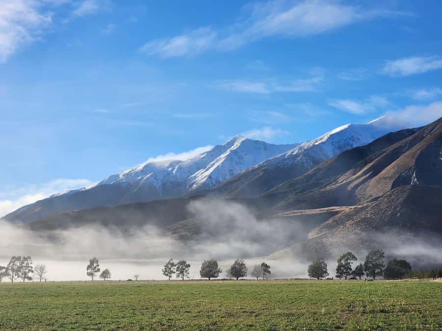 Arthur’s Pass Tour From Christchurch via CHC-GRZ TranzAlpine - Pickup and Getting There on Time: How to Avoid the Common Hassle