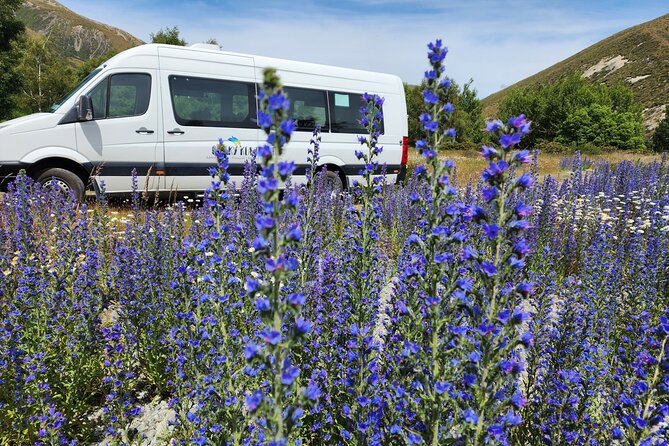 Arthur’s Pass Tour From Christchurch With Jet Boat & TranzAlpine - Springfield jet boat: 30 minutes of canyon energy