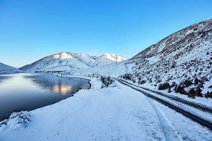 Arthur's Pass: TranzAlpine Train and Castle Hill Day Tour - Otira Viaduct lookout and kea: the alpine birds that steal the show