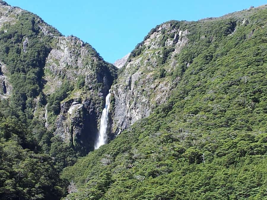 Arthur's Pass: TranzAlpine Train and Castle Hill Day Tour - Should you book the Arthur’s Pass TranzAlpine day tour?