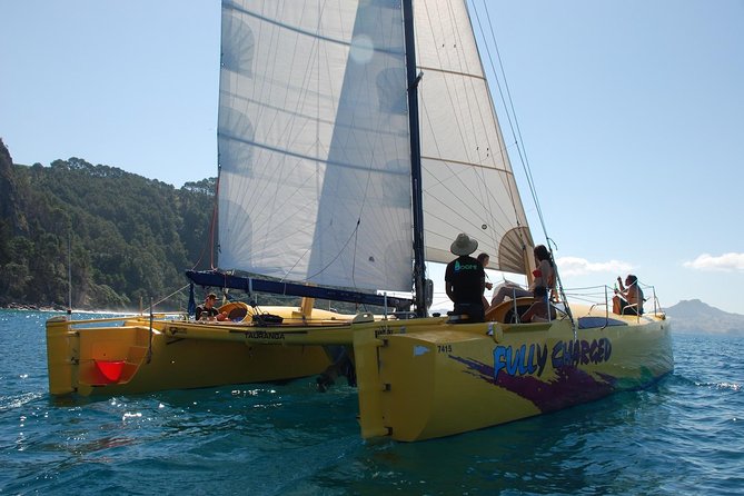 Arvo of goodness Chilled out Sail (3.5hrs) - Who this chilled-out sail is best for