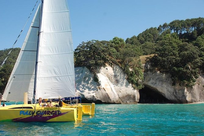 Arvo of goodness Chilled out Sail (3.5hrs) - On board comfort: bean bags, snorkel gear, and the included drink