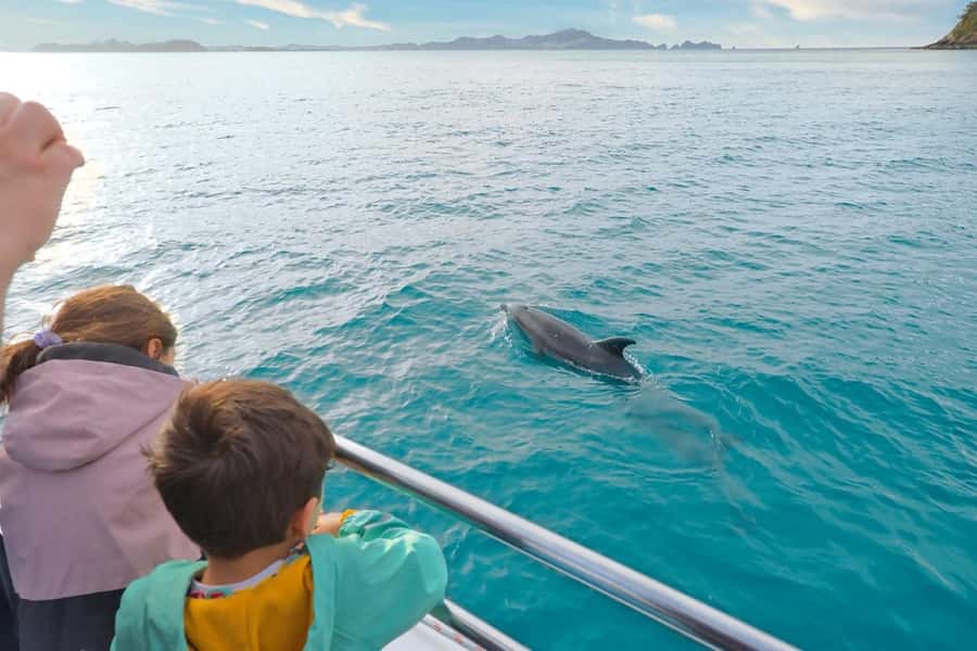 Auckland: 2-Day Bay of Islands Small Group Tour with Cruise - Price and value: why $435 can make sense for the right traveler