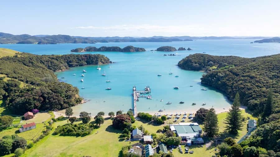 Auckland: 2-Day Bay of Islands Small Group Tour with Cruise - Day 1: Harbour Bridge, kauri giants, and Treaty Grounds in one sweep