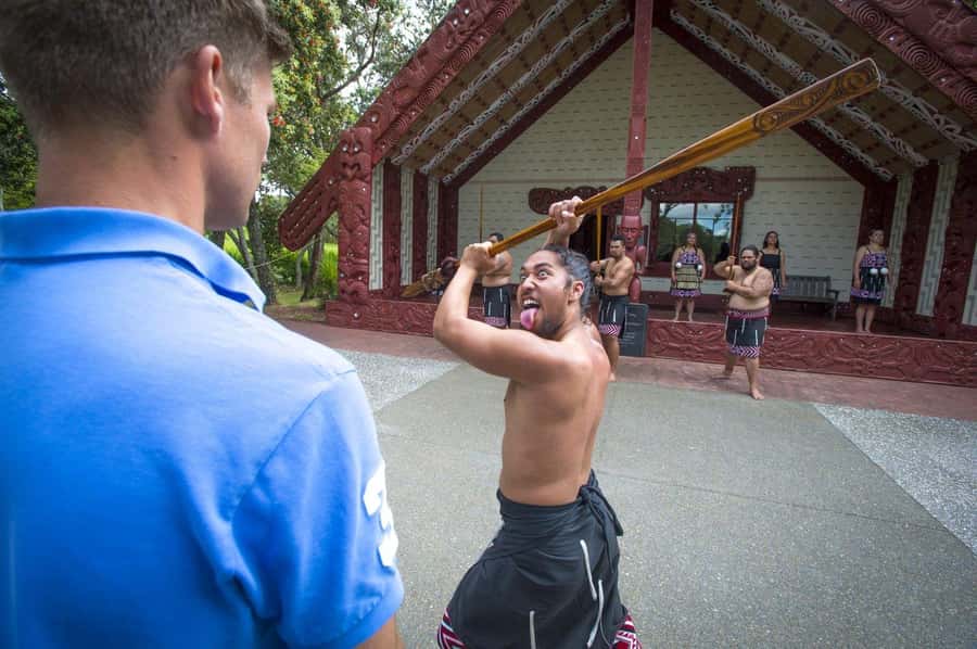 Auckland: 2-Day Bay of Islands Small Group Tour with Cruise - Waitangi Treaty Grounds, guided history plus Māori cultural performance