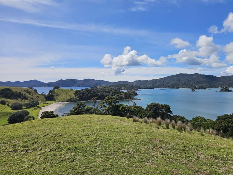 Auckland: 2-Day Bay of Islands Small Group Tour with Cruise - Day 2: 4.5-hour cruise to Hole in the Rock, plus island time