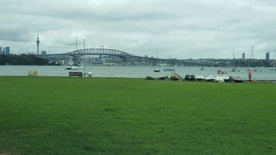 Auckland: Auckland City Tour 4 hours private - Key highlights that make this 4-hour Auckland tour worth it