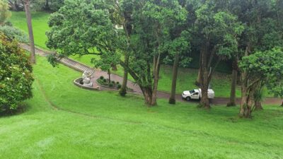 Auckland City Tour 4 hours private