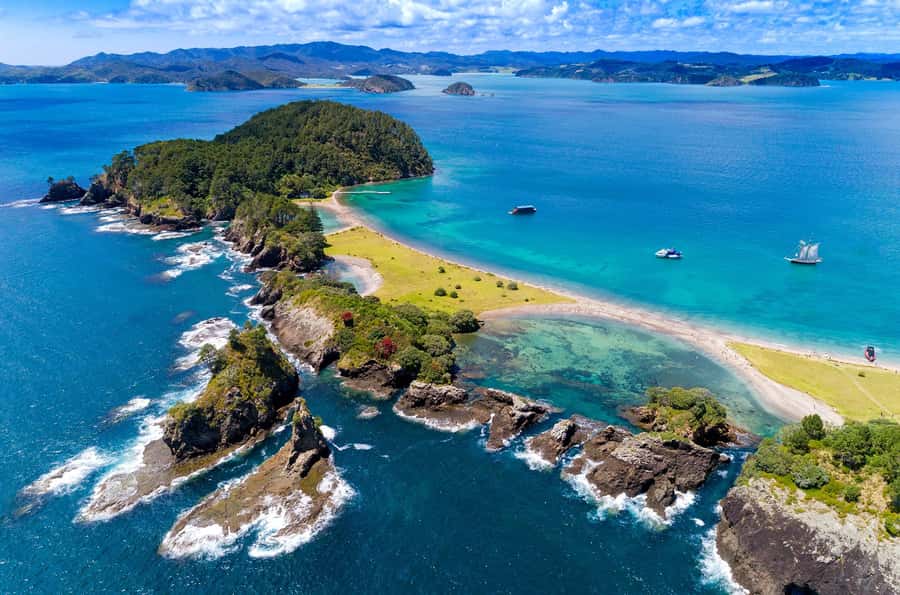 Auckland: Bay of Islands Day Tour with Dolphin Cruise - Key highlights you’ll care about