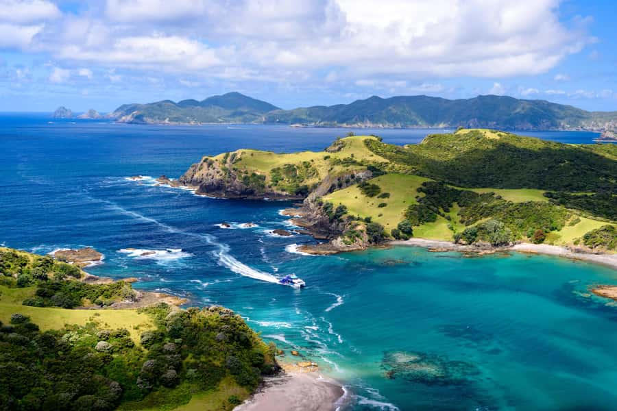 Auckland: Bay of Islands Day Tour with Dolphin Cruise - Auckland to the Bay of Islands, minus the stress