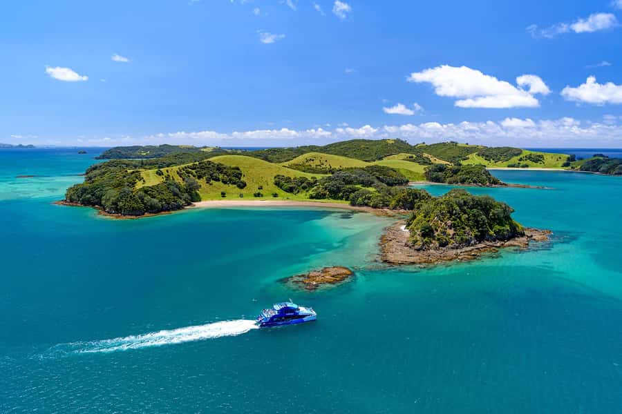Auckland: Bay of Islands Day Tour with Dolphin Cruise - Boarding in Paihia, what the catamaran sailing is really like