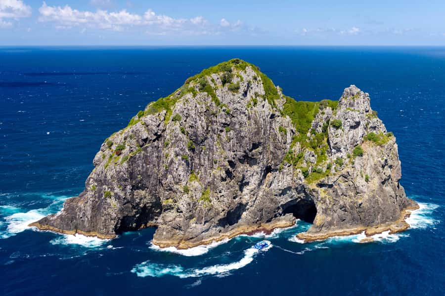 Auckland: Bay of Islands Day Tour with Dolphin Cruise - The return ride and arriving back in the city at night